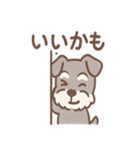 かげシュナのやんわり敬語スタンプ集（個別スタンプ：25）