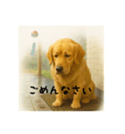 紅麦(こむぎ)の日常<夏編>（個別スタンプ：5）