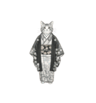 大正レトロ着物猫／アレンジ用（個別スタンプ：2）