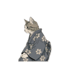 大正レトロ着物猫／アレンジ用（個別スタンプ：26）