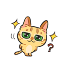 黒目がちな猫 キラリ君（個別スタンプ：1）