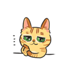 黒目がちな猫 キラリ君（個別スタンプ：5）