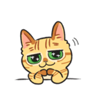 黒目がちな猫 キラリ君（個別スタンプ：9）