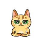 黒目がちな猫 キラリ君（個別スタンプ：14）