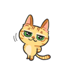 黒目がちな猫 キラリ君（個別スタンプ：16）
