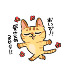 黒目がちな猫 キラリ君（個別スタンプ：17）