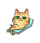 黒目がちな猫 キラリ君（個別スタンプ：26）