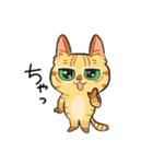 黒目がちな猫 キラリ君（個別スタンプ：28）