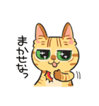 黒目がちな猫 キラリ君（個別スタンプ：35）