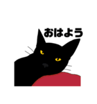 黒猫のおはぎ（個別スタンプ：1）