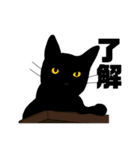 黒猫のおはぎ（個別スタンプ：5）