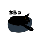 黒猫のおはぎ（個別スタンプ：8）