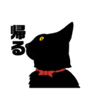 黒猫のおはぎ（個別スタンプ：13）
