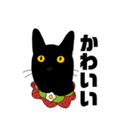黒猫のおはぎ（個別スタンプ：20）