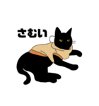 黒猫のおはぎ（個別スタンプ：26）