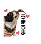 それいけ！大福！豆大福②（個別スタンプ：3）