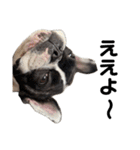 それいけ！大福！豆大福②（個別スタンプ：4）