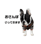 それいけ！大福！豆大福②（個別スタンプ：5）