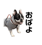 それいけ！大福！豆大福②（個別スタンプ：6）