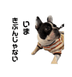 それいけ！大福！豆大福②（個別スタンプ：7）