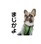 それいけ！大福！豆大福②（個別スタンプ：9）