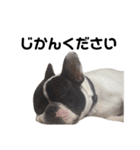 それいけ！大福！豆大福②（個別スタンプ：10）