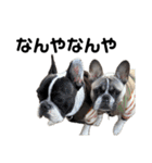 それいけ！大福！豆大福②（個別スタンプ：12）