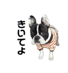 それいけ！大福！豆大福②（個別スタンプ：13）