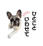 それいけ！大福！豆大福②（個別スタンプ：14）