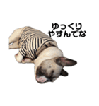 それいけ！大福！豆大福②（個別スタンプ：15）