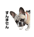 それいけ！大福！豆大福②（個別スタンプ：16）