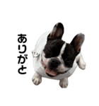 それいけ！大福！豆大福②（個別スタンプ：18）