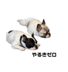 それいけ！大福！豆大福②（個別スタンプ：20）