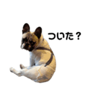 それいけ！大福！豆大福②（個別スタンプ：23）