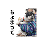 それいけ！大福！豆大福②（個別スタンプ：24）