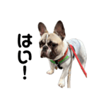 それいけ！大福！豆大福②（個別スタンプ：25）