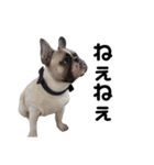 それいけ！大福！豆大福②（個別スタンプ：29）