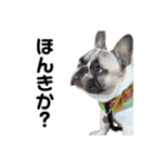 それいけ！大福！豆大福②（個別スタンプ：30）