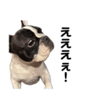 それいけ！大福！豆大福②（個別スタンプ：31）