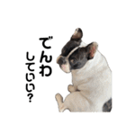 それいけ！大福！豆大福②（個別スタンプ：32）