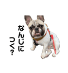 それいけ！大福！豆大福②（個別スタンプ：33）