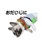 それいけ！大福！豆大福②（個別スタンプ：34）