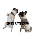 それいけ！大福！豆大福②（個別スタンプ：35）