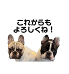 それいけ！大福！豆大福②（個別スタンプ：38）