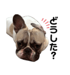 それいけ！大福！豆大福②（個別スタンプ：39）