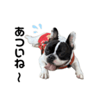 それいけ！大福！豆大福②（個別スタンプ：40）