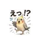 インコスタンプ(使いやすい)（個別スタンプ：8）
