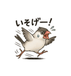 インコスタンプ(使いやすい)（個別スタンプ：10）