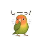 インコスタンプ(使いやすい)（個別スタンプ：15）