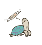 カメの歩み（個別スタンプ：28）